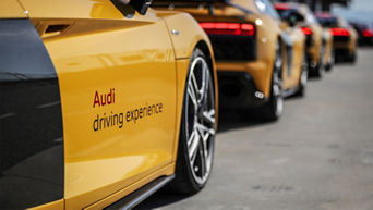 Diverse gelbe Audi R8 parken hintereinander (Nahaufnahme), mit Aufschrift der Audi driving experience.