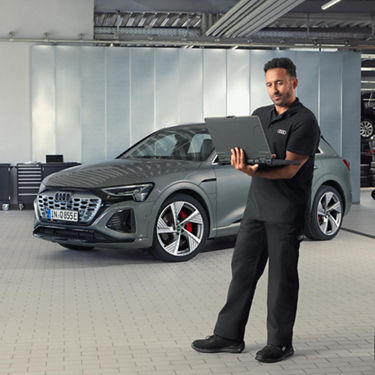 Foto de unos amortiguadores Audi de Recambios Originales Audi. 
