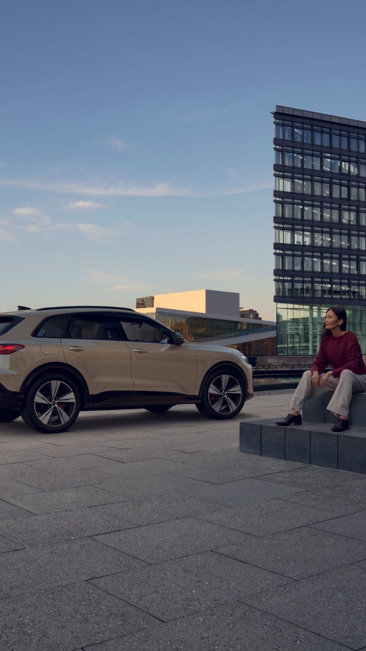 Voiture Occasion Audi Lyon