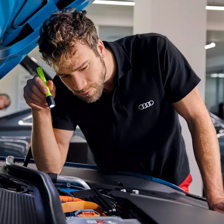 Prise en charge Audi