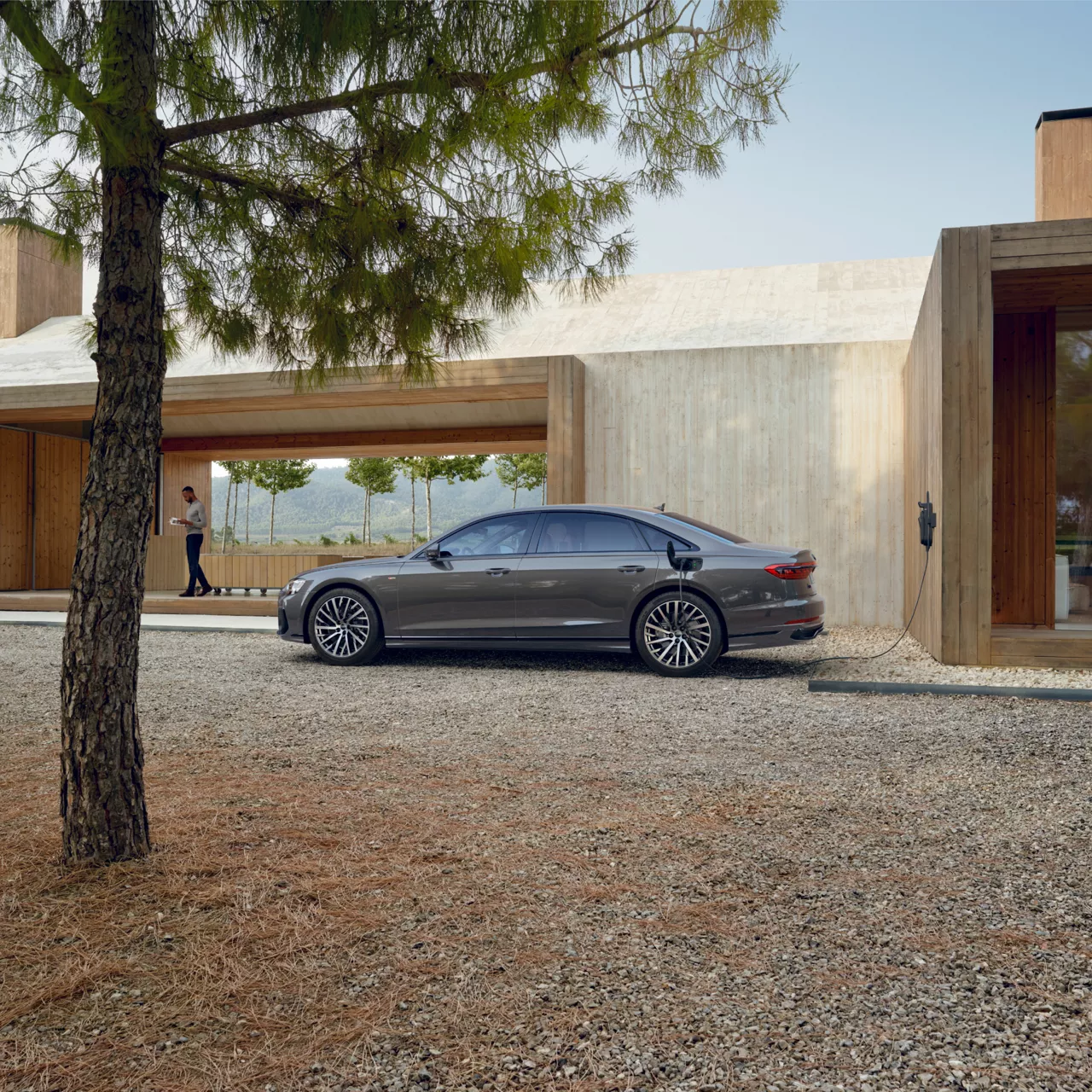 Audi A8 Occasion