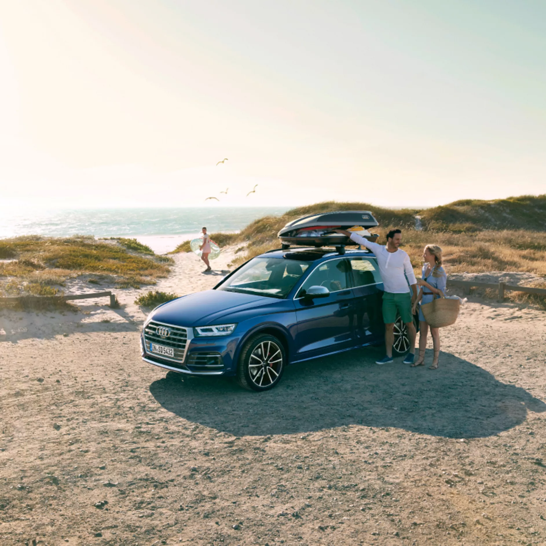 coffre de toit audi q3