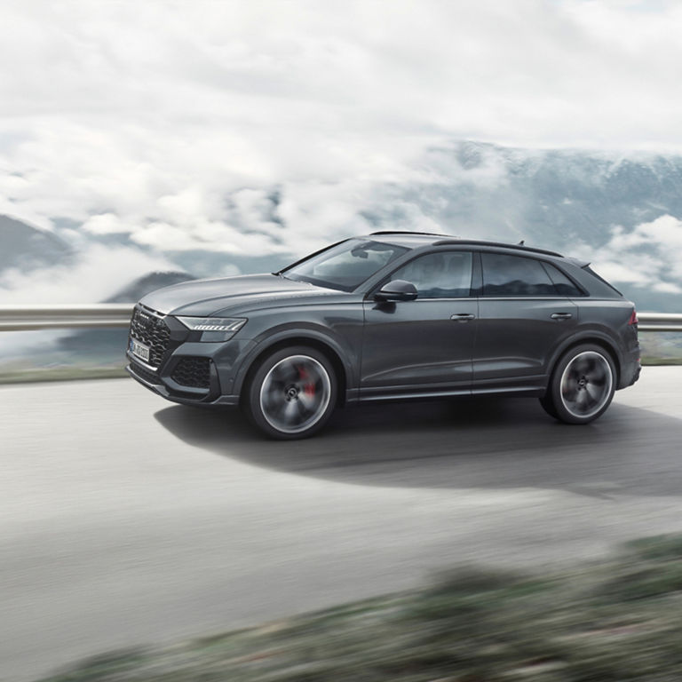 Audi Q8 Occasion