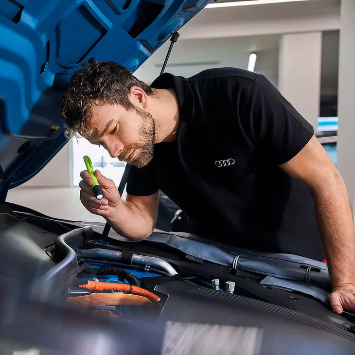 Revisione Audi Service