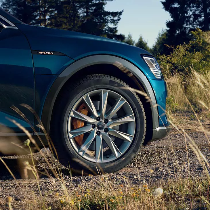 e-tron tyre