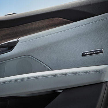 Audi exclusive inlays in eucalyptus 