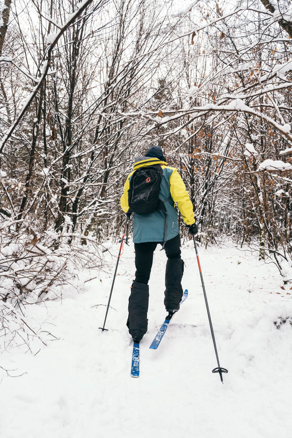 Sebastian Copeland traverse la forêt sur ses skis.