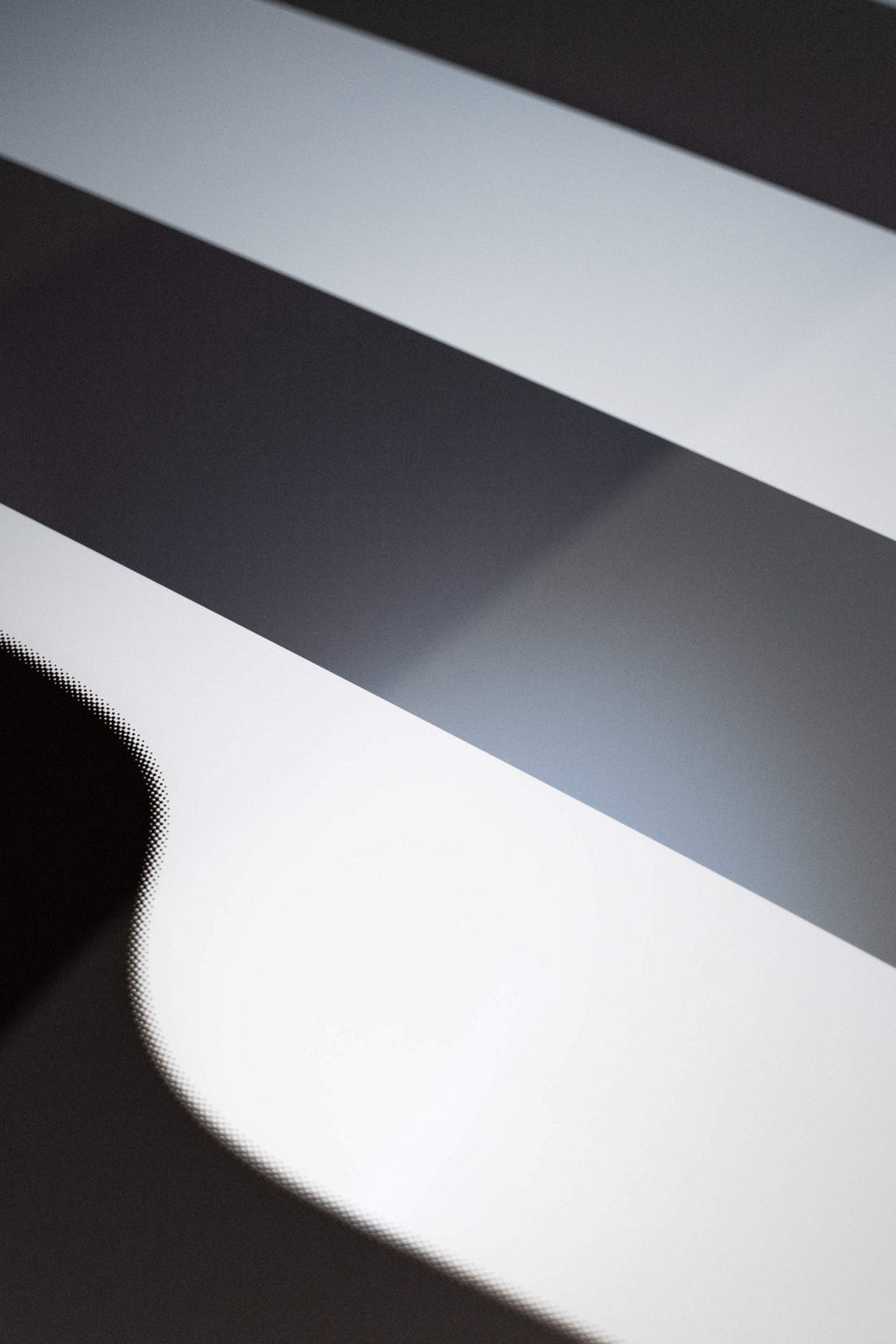 Close-up of the Zebra pattern on the panoramic glass roof.