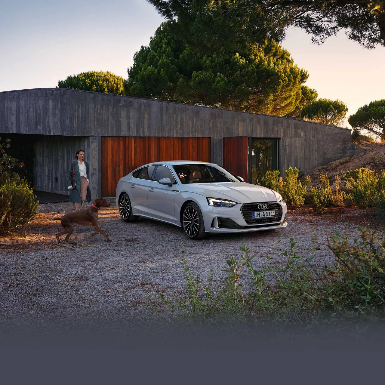 Audi A5: Gute Fahrt mit Functions on Demand