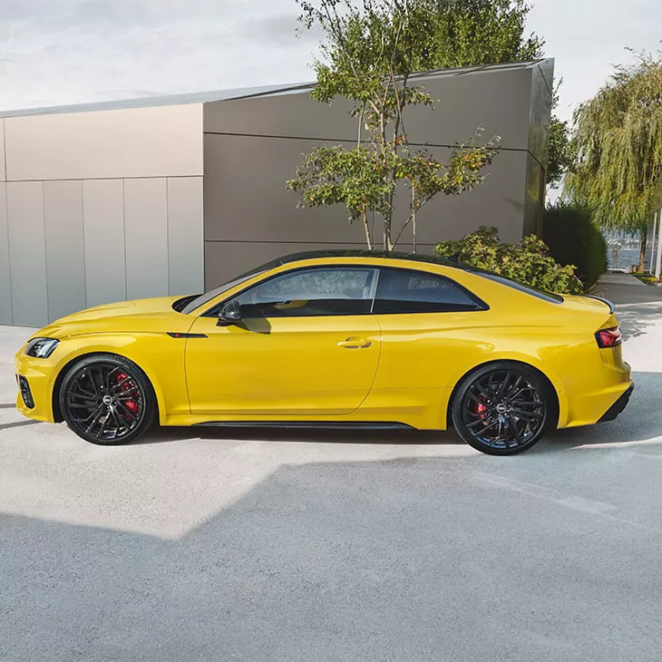 Audi exclusive