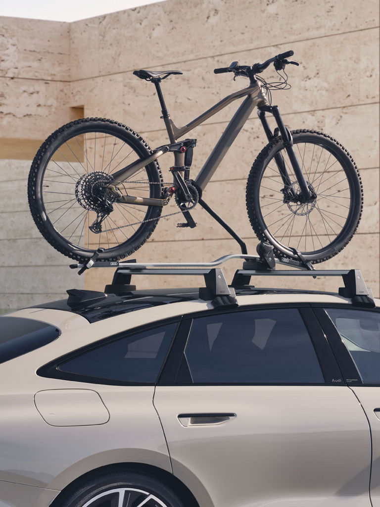 Audi A6 Sportback e-tron Dach mit fahrrad