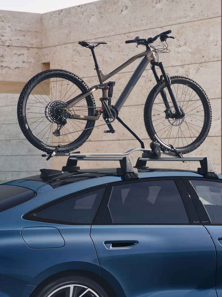 Audi A6 Sportback e-tron Dach mit fahrrad