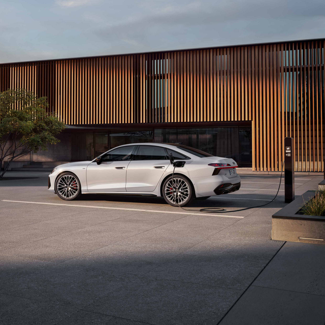 Audi e-care