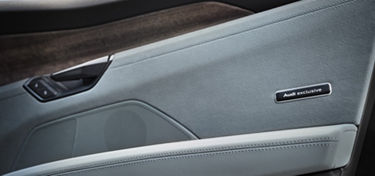 Audi exclusive inlays in eucalyptus 