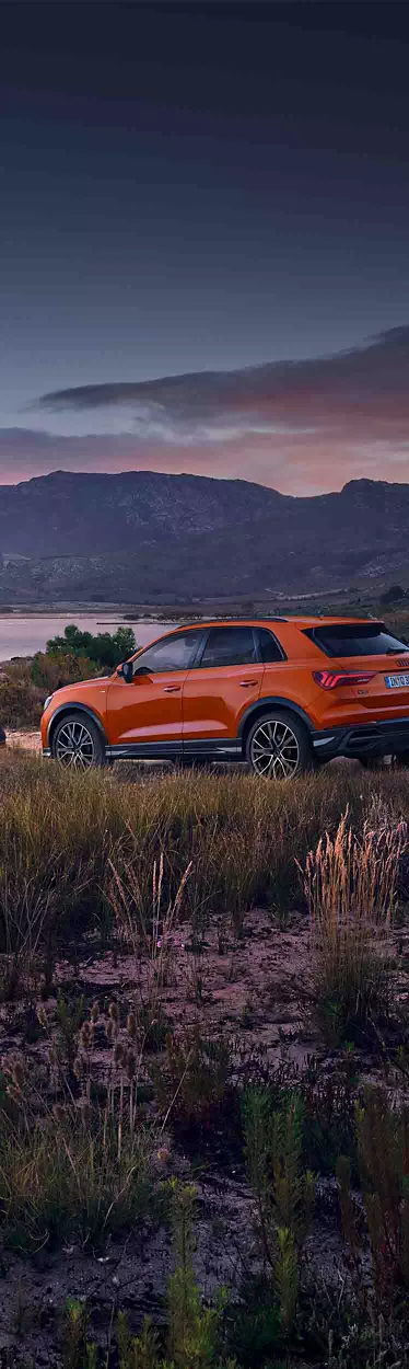 Zijaanzicht van de Audi Q3 in een landschap met een hond