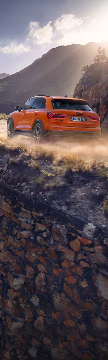 Seitenansicht des Audi Q3 in einer Landschaft mit Model und Hund