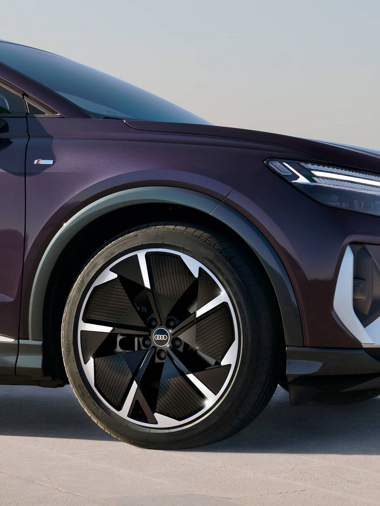 Rim Audi Q4 e-tron