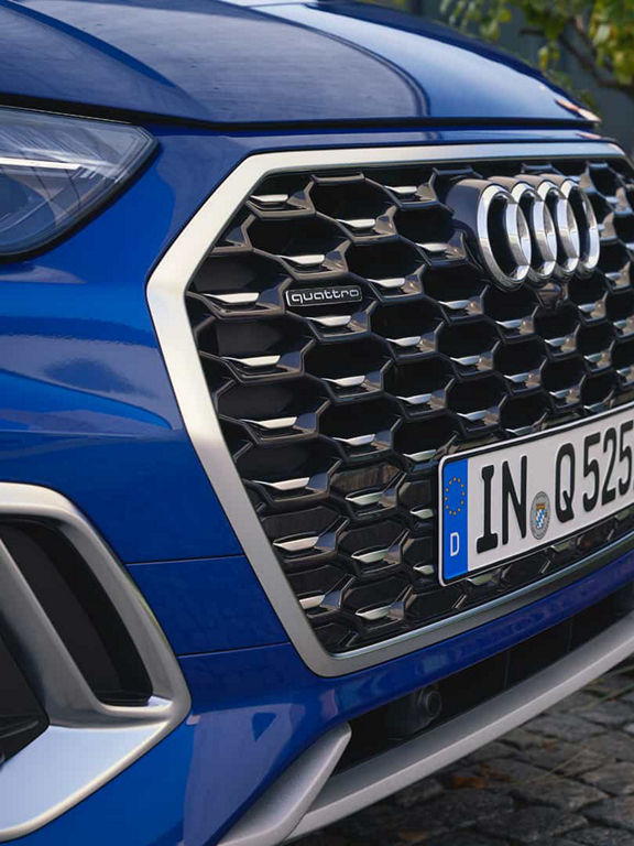 Single-frame grille Audi Q5 Sportback