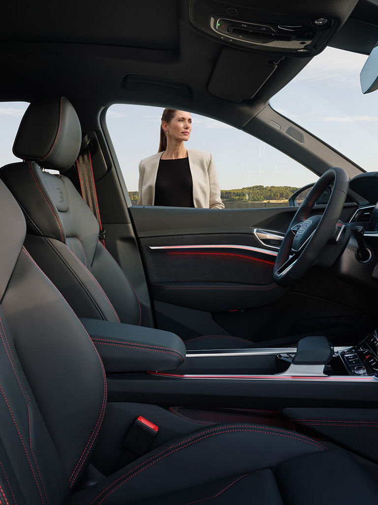 Side cockpit view Audi Q8 e-tron
