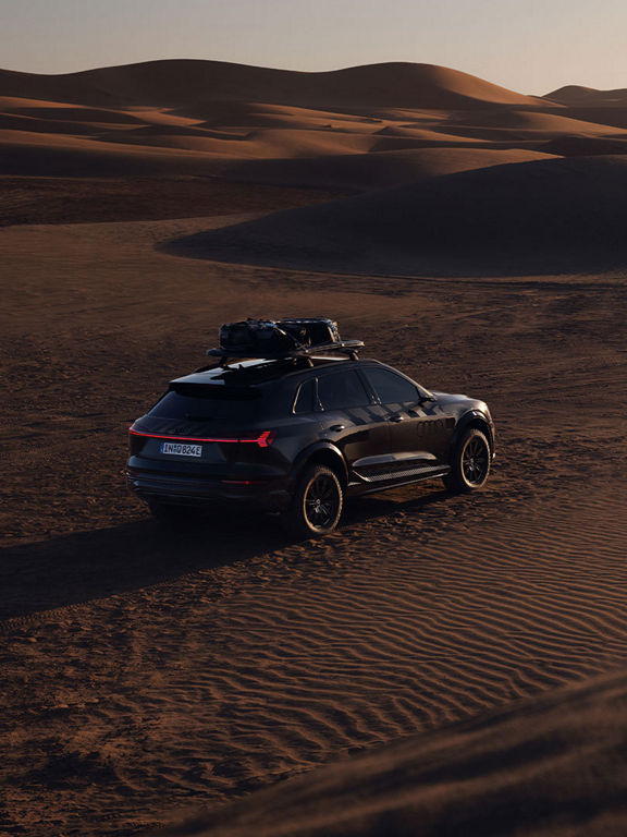 Foto de los neumáticos General Grabber AT3 del Audi Q8 e-tron edition Dakar de 2024.