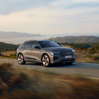 dynamic side view Audi Q8 e-tron