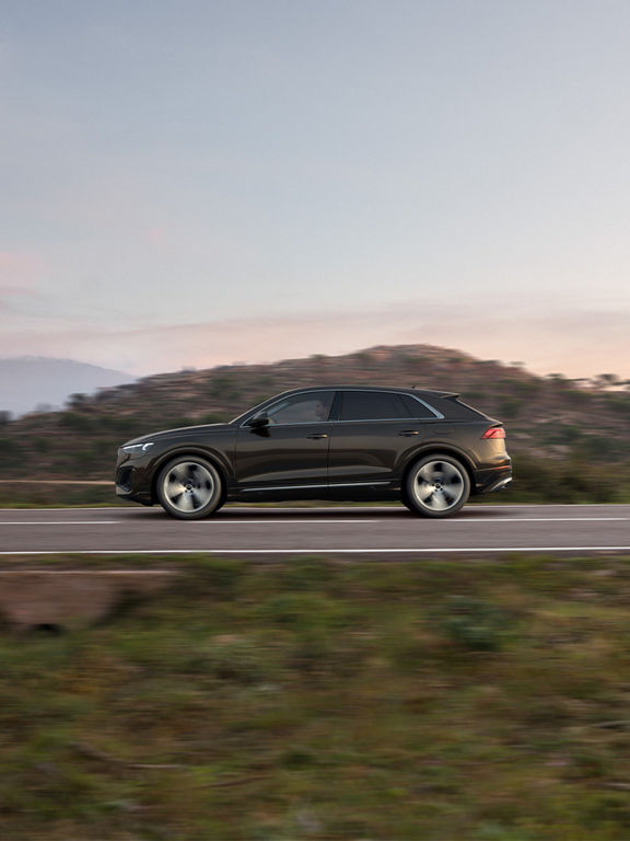Dynamic side view of the Audi Q8 SUV TFSI e