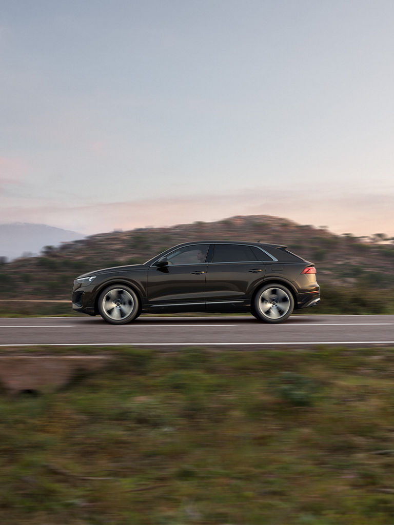 Audi Q8 SUV TFSI e