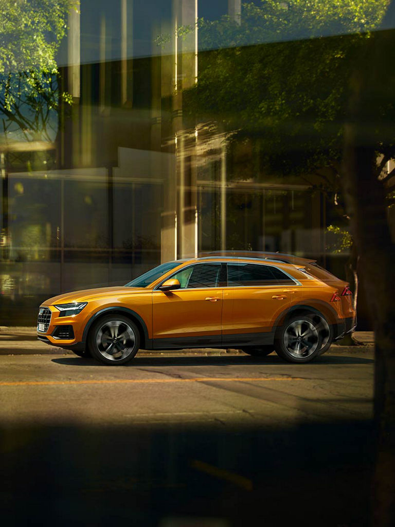 Dynamic side view Audi Q8