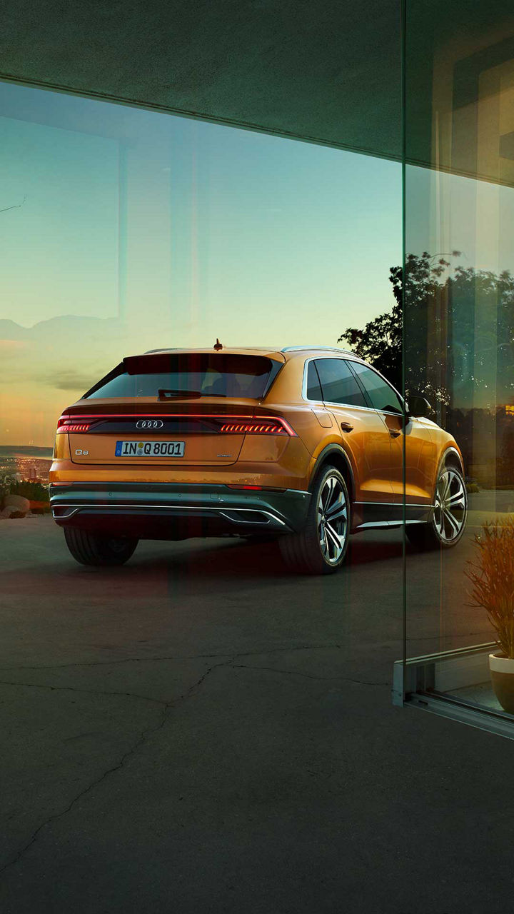 Side View Audi Q8