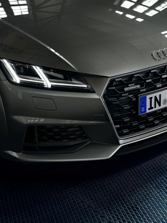 Foto de la parrilla Audi Singleframe de un Audi TT Coupé.