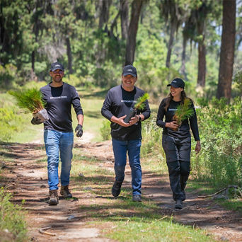 230829-audi-mx-refuerza-compromiso-medio-ambiental-en-region-con-reforestacion-santa-cruz-del-bosque_800x800px.jpg