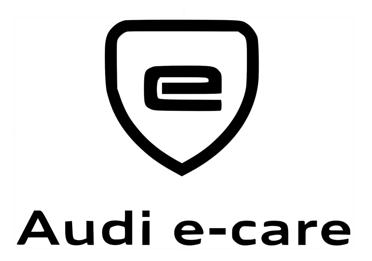 Audi e-care