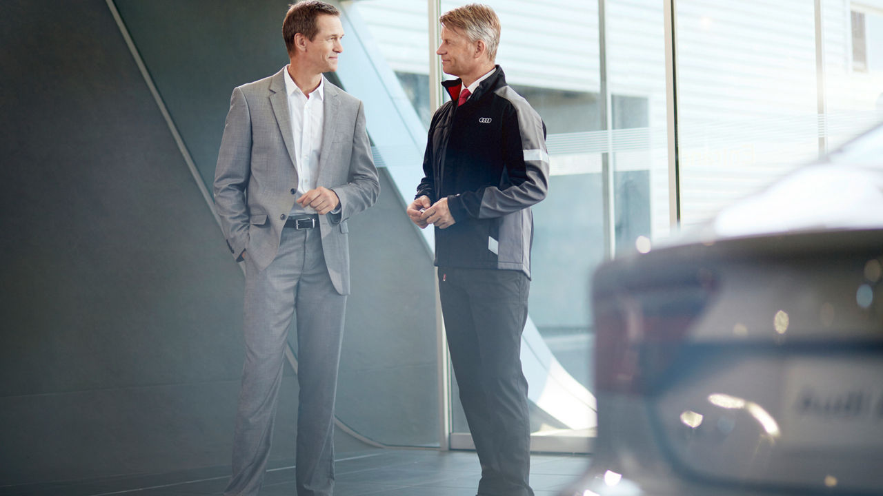 Audi Occasion Check