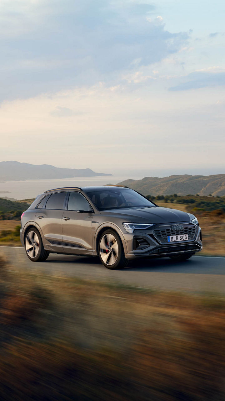 Sidovy Audi Q8 e-tron