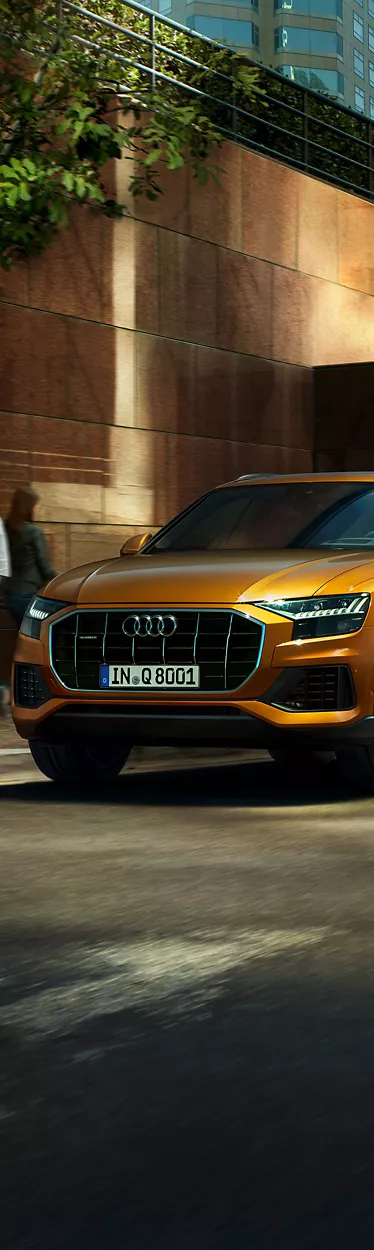 Dynamic rear view Audi Q8 