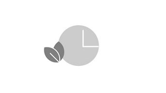 Illustration of a clock and some leaves to denote greenest charge time