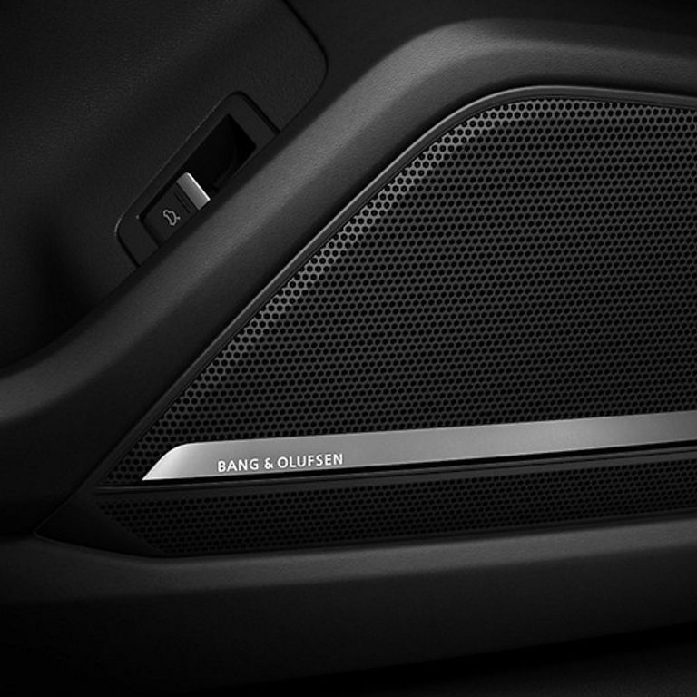 Close-up of a Bang & Olufsen speaker grill in a car door.