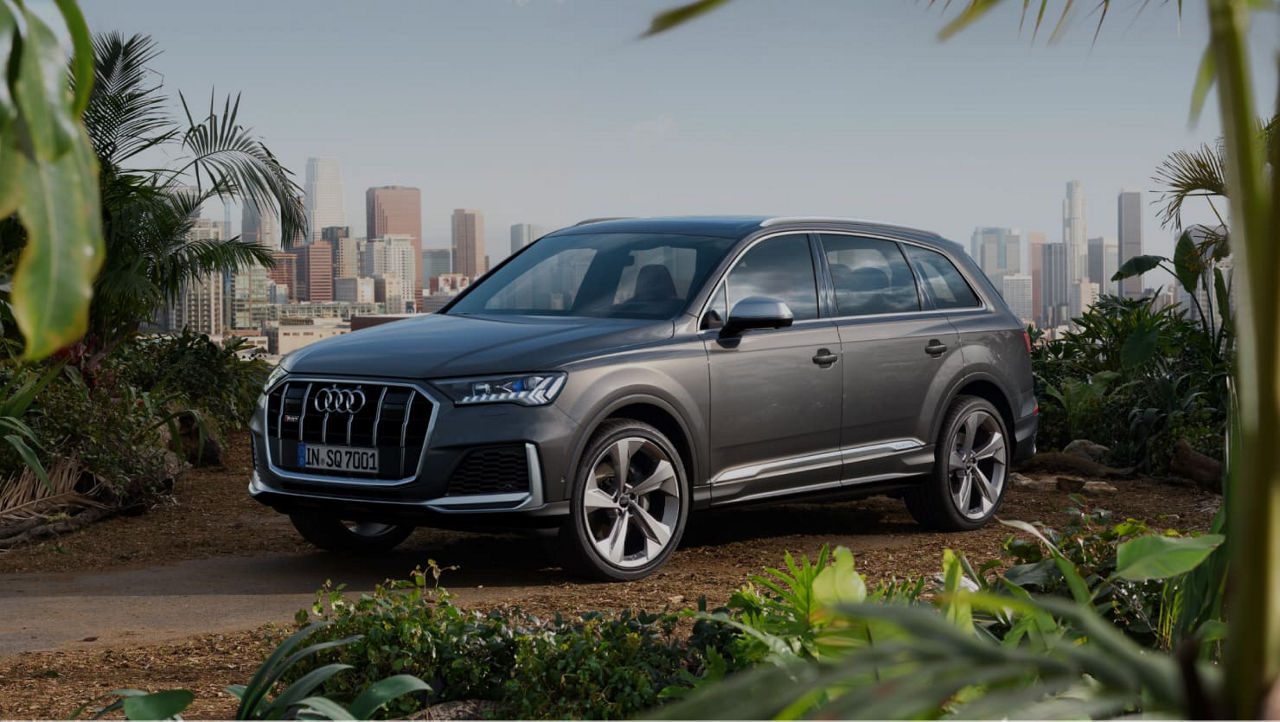 Grey Audi SUV parked in a lush garden with city skyline in the background.